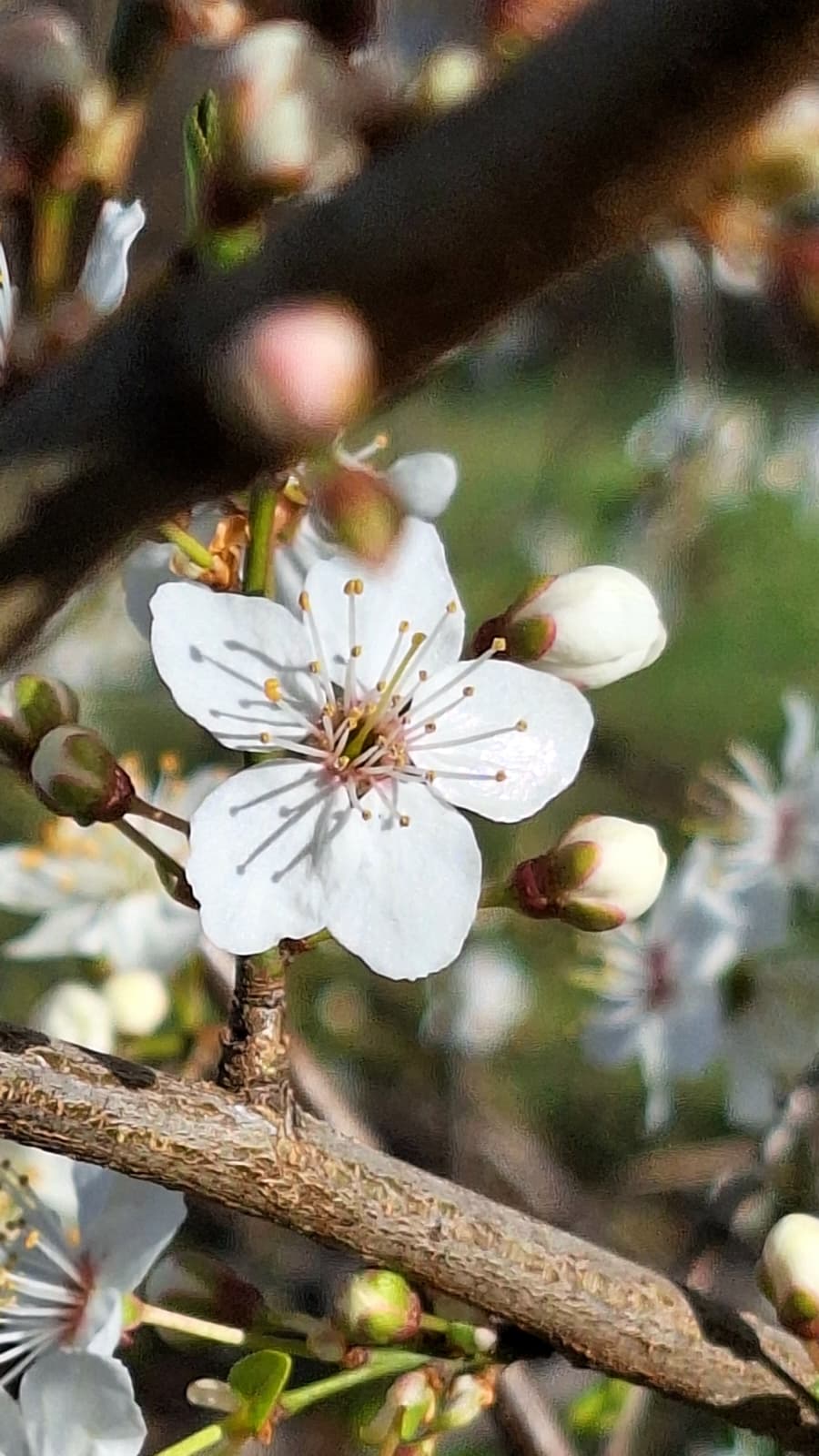 Hof und Gartenbereich am Eingang
